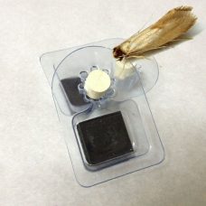 piège mite des vêtements