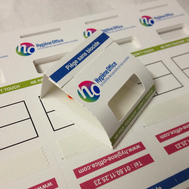 Piège à Blattes et Lépismes à poser ou coller (lot de 80 unités)