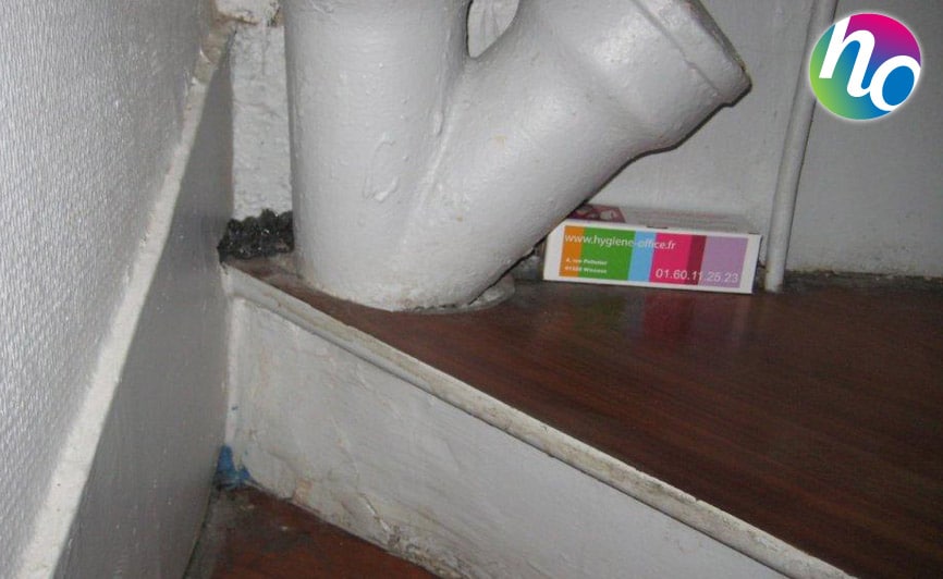 Hygiène Office dératisation dans un couloir, partie commune d'un immeuble
