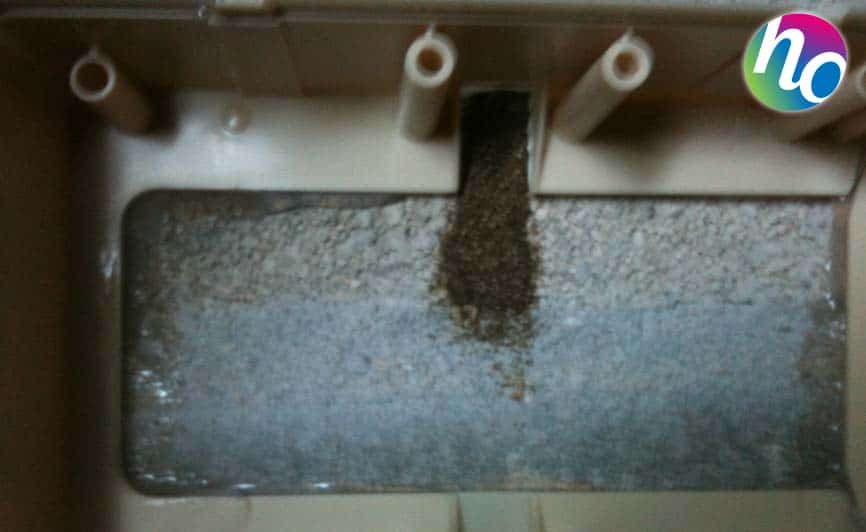 hygiene-office-termites-018