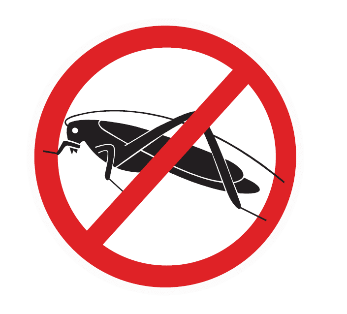 Traitement anti cafards - lutte contre les blattes - Hygiène Office
