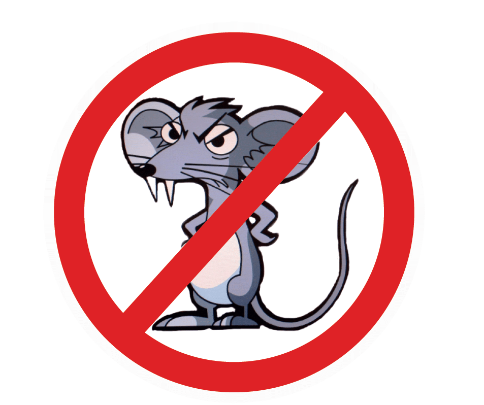 Les rats mangent 1/5 de la nourriture mondiale - Hygiène Office