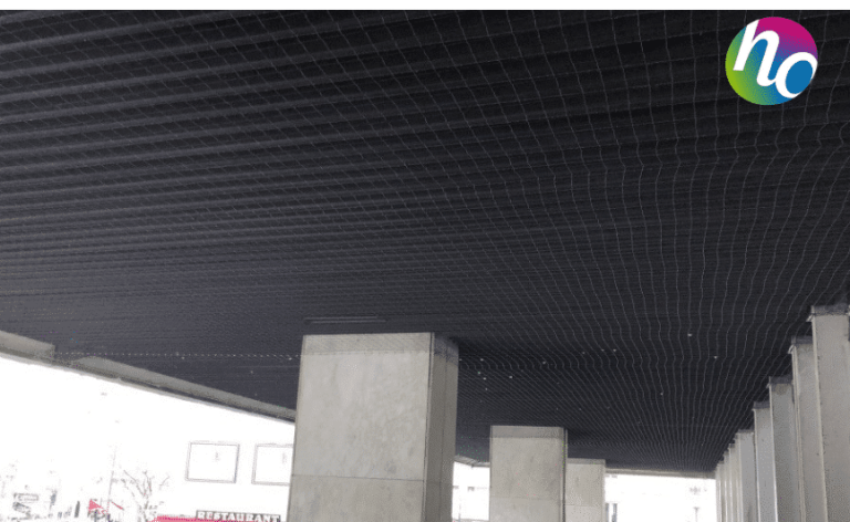 Eloignement pigeons – Hôtel Hyatt