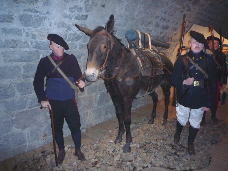Musée des Troupes de Montagne