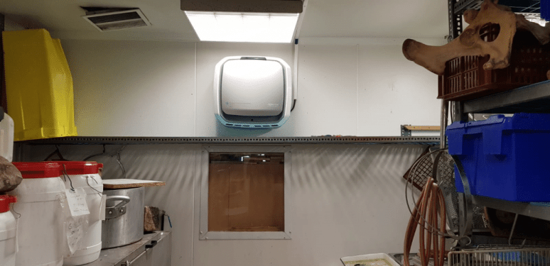 Taxidermie du Muséum National d&rsquo;Histoire Naturelle