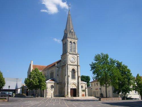 Eglise Saint Louis – traitement fongicide