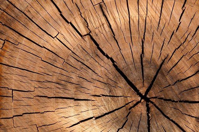 Immeuble – traitement fongicide