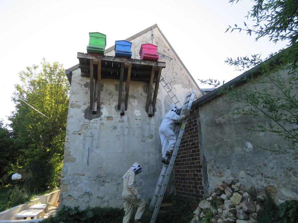 Histoire d&rsquo;abeilles