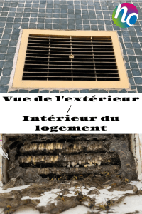 Vue extérieur & intérieur guêpes