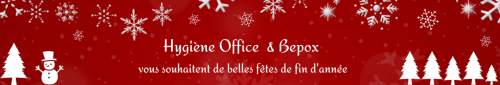Vœux bannière 