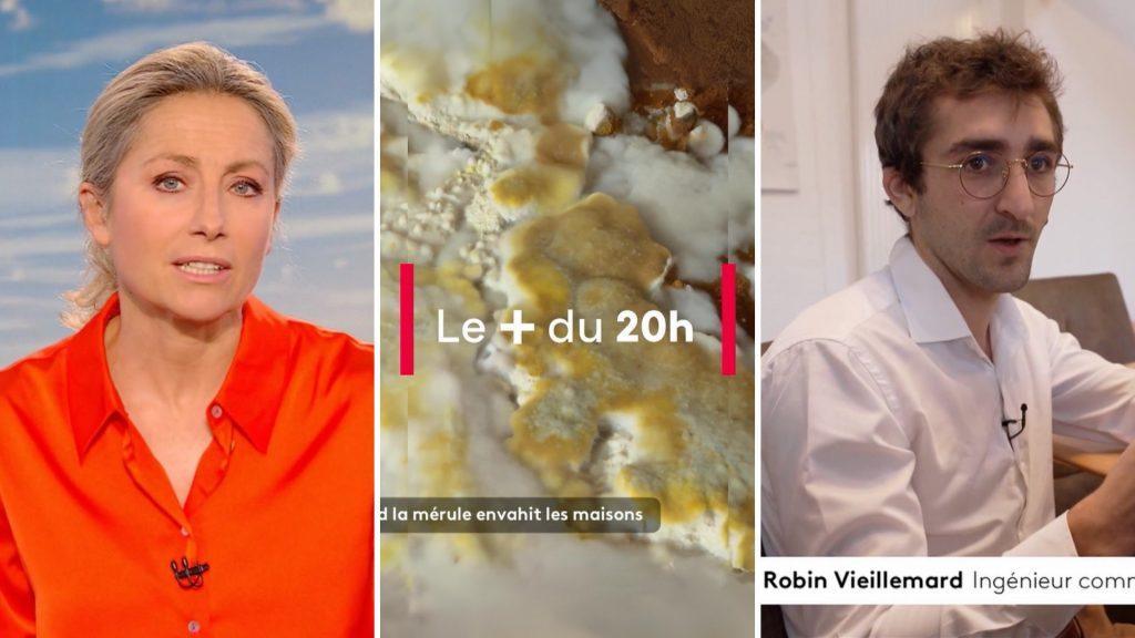 Mérule : Face à ce fléau, Hygiène Office au 20h de France 2