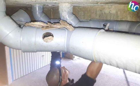 Curage d'un réseau de canalisation pour une copropriété