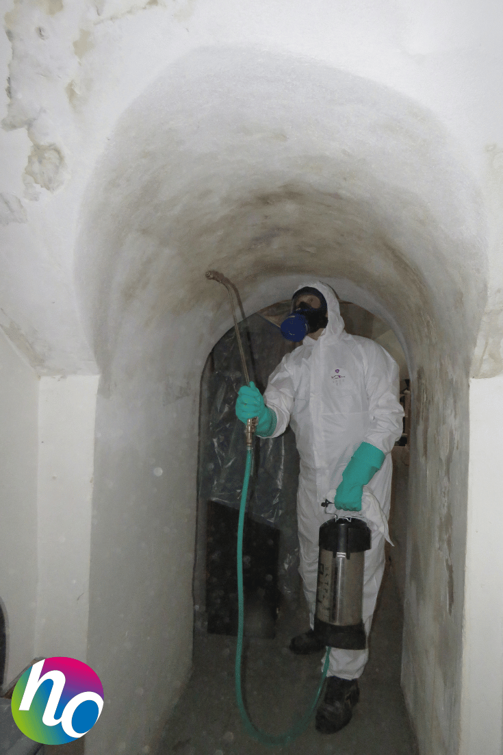 Désinfection professionnelle des locaux Désinfection professionnelle des locaux