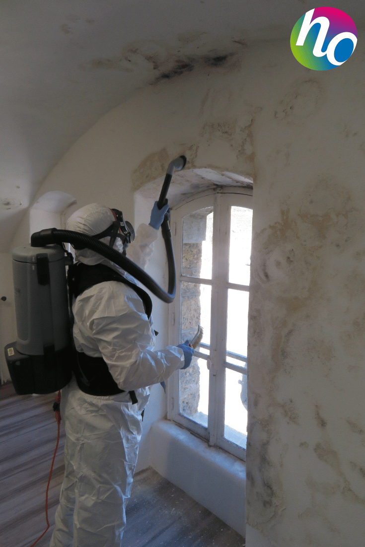 Grattage et aspiration des spores visibles sur les murs Grattage et aspiration des spores visibles sur les murs