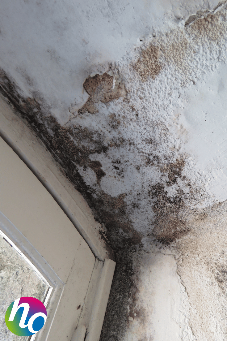 Spore, craquelage de la peinture Spore, craquelage de la peinture