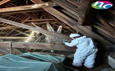 Traitement des bois Sainte-Chapelle : l’expertise Hygiène Office