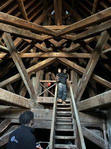Repérage des zones infestées avant le début du chantier