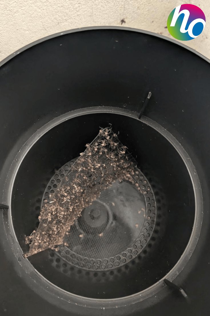 Se débarrasser des moustiques à Wissous